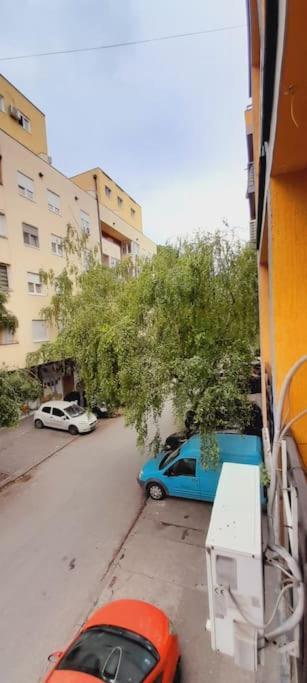 Studio Marko Novi Sad Bagian luar foto